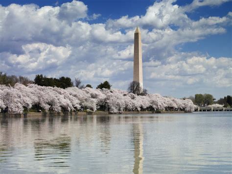 5 Unique Ways To Experience The Monuments In Washington Dc