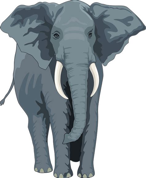 Elephant Cartoon Clip Art Elephant Cliparts Png Download 600600 Images