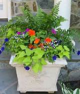 Flower Container Ideas Images
