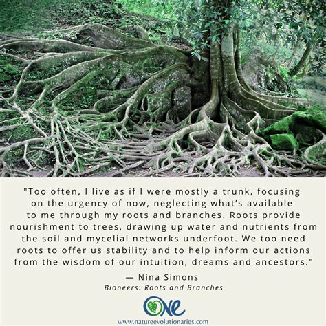 Root Wisdom — Organization Of Nature Evolutionaries
