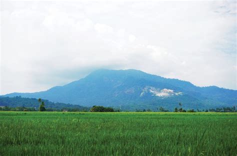 It is probable that the javanese pole gun,. Gunung Jerai 1380metres/4140 feet above sea level, 11kms ...
