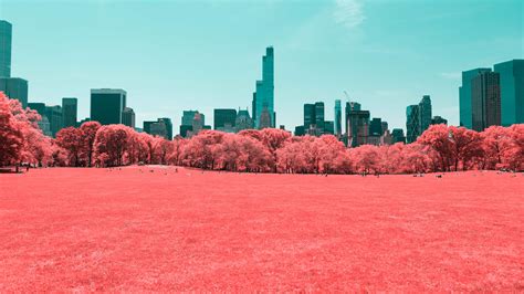 1920x1080 Resolution Nyc Central Park Infrared 1080p Laptop Full Hd