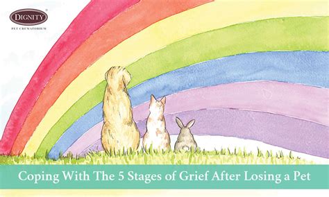 Coping With The 5 Stages Of Grief After Losing A Pet Dignity Pet