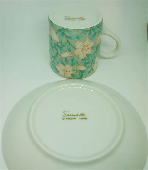 Vintage Collectible Fine China Espresso Cup And Saucer Set Serenade