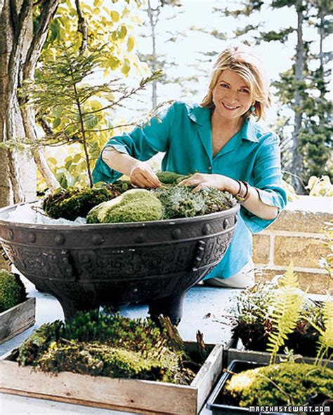 Start studying transformations homework (sat.). 60 Great Ideas for the Garden | Martha Stewart