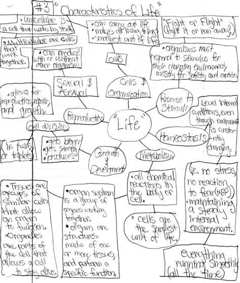 Cell Concept Map Worksheet Answers
