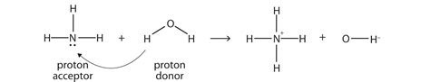 Strong bases completely dissociate in reaction to water, but nh3 retains its original form. Brønsted-Lowry Acids and Bases