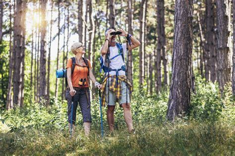 Couple Hiking In Forest Wearing Backpacks And Hiking Poles Nordic
