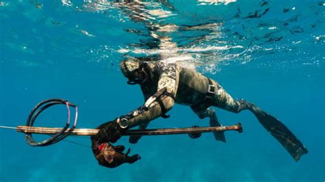 The Beginners Guide To Everything You Need To Know About Spearfishing Gear