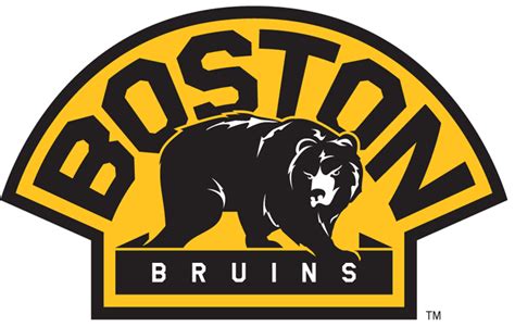 How Did The Boston Bruins And All Other Nhl Teams Get Their Names