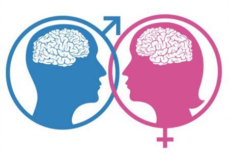 Descubre las Semejanzas Físicas e Intelectuales Entre Hombres y Mujeres