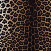 Colorful Fabrics Digitally Printed By Spoonflower Leopard Skin