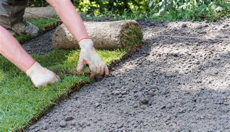 You should go on to pull as many weeds as you can do manually. How to Lay Sod in 5 Easy Steps! (Yes, Really) - The Lawn ...