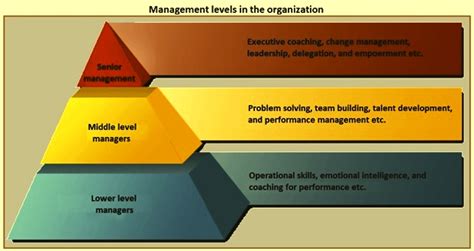 Middle Level Managers And Their Role In Organizational Performance