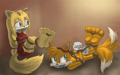 Tails X Zooey Bound By Love By Shadz The Fox On Deviantart