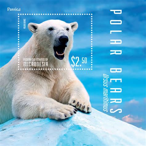 Polar Bears On Behance