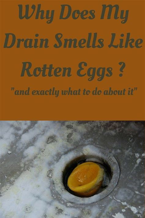 Flush drains with dish soap and hot water regularly. Why Does My Drain Smells Like Rotten Eggs? | Drain cleaner ...