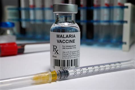 Malaria Vaccine Stock Photo Download Image Now Istock