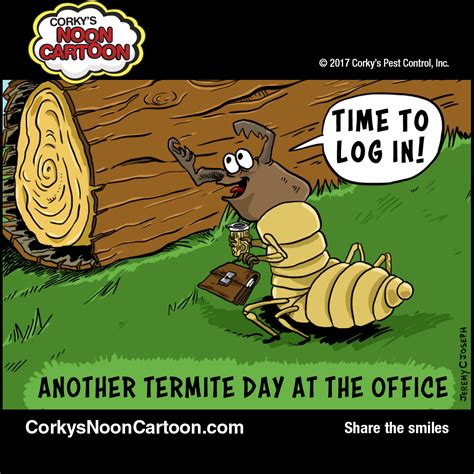 Our services are in no doubt the best you can find here in vista. Pin on Corky's Noon Cartoons