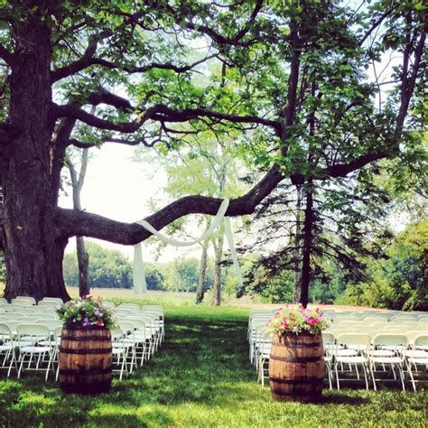 All of the vintage and rustic decorations were also available to use for free! our heritage tree set-up for a ceremony | Hidden Vineyard ...