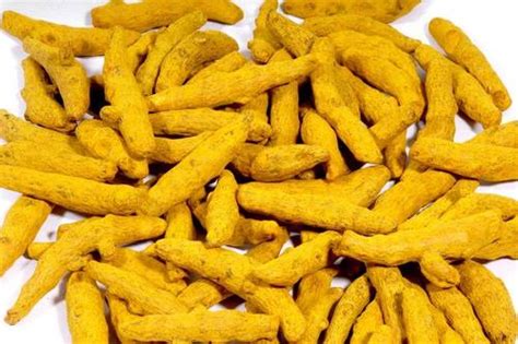 Yellow Organic Raw Turmeric Fingers At Best Price In Mal Raja Consultancy