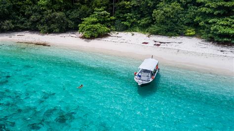 Kampung juara beach is minutes away. Tioman Island, Malaysia: an unknown paradise of coral ...