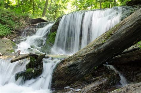 Canada Forest Jungle River Rocks Stones Waterfalls Wallpapers Hd