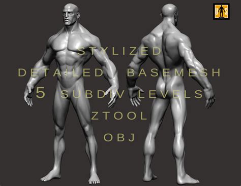 Stylized Male Body Basemesh 3d Asset Realtime Cgtrader