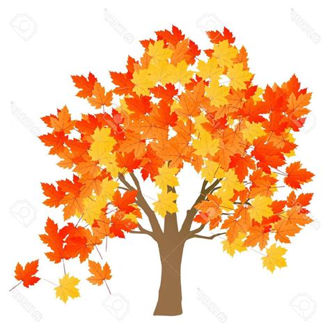 A Maple Tree Clipart 10 Free Cliparts Download Images On Clipground 2023