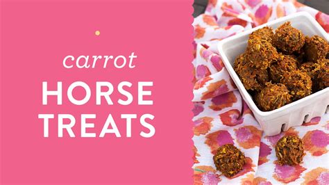 Diy Horse Treats Without Molasses Homemade Horse Treats Without