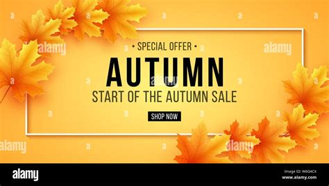 Autumn Sale Invitation Card Web Banner With Lettering Text In Frame