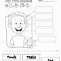 Five Senses Worksheet Kindergarten