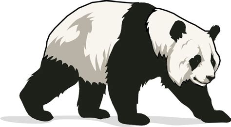 Free Panda Bear Clipart