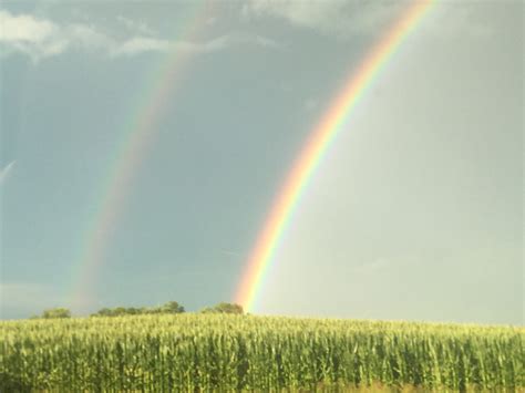 Double Rainbows Free Stock Photo Public Domain Pictures