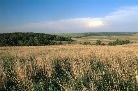 Tallgrass Prairie Oklahoma 1 Photograph By James Steinberg Pixels