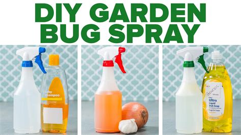 Watch Diy Garden Bug Spray Garden Bug Spray Garden Bugs Bug Spray