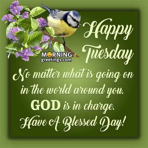 Amazing Tuesday Morning Blessings Morning Greetings Morning
