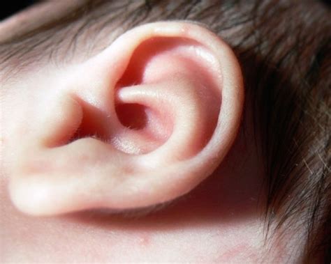 This test measures how well your child's hearing nerve responds to sound. Five things you may not know about your hearing