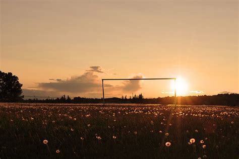 soccer field and goal at sunset
