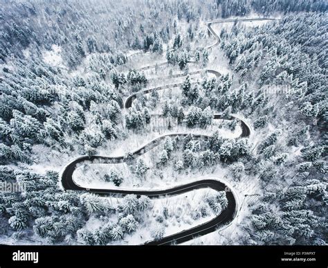 Winter Curved Winding Road In The Forest Covered In Snow Stock Photo
