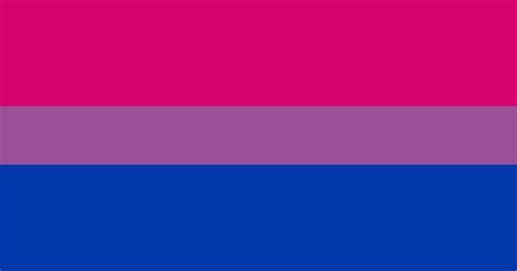 premium vector bisexual lgbt pride flag vector image