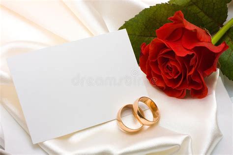 Wedding Rings Rose And Card Two Gold Wedding Rings Red Rose And Card