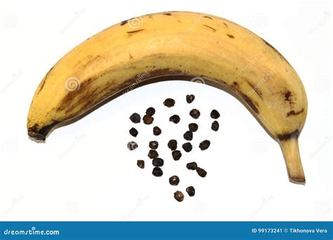 Graines De Banane Et De Banane Image Stock Image Du Croissance