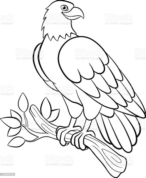 Coloring Pages Wild Birds Cute Smiling Eagle Stock