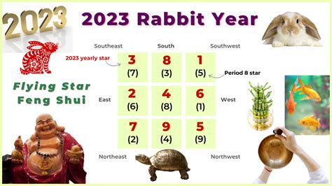 2023 Rabbit Year Flying Star Feng Shui — Picture Healer Feng Shui And