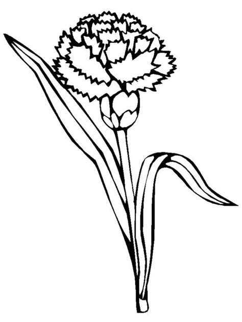 Easy, step by step carnation drawing tutorial. The best free Carnation drawing images. Download from 336 ...