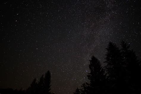 Filespruce Forest Night Sky Stars West Virginia