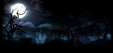 Halloween Night Moon All Hd Wallpapers Gallerry