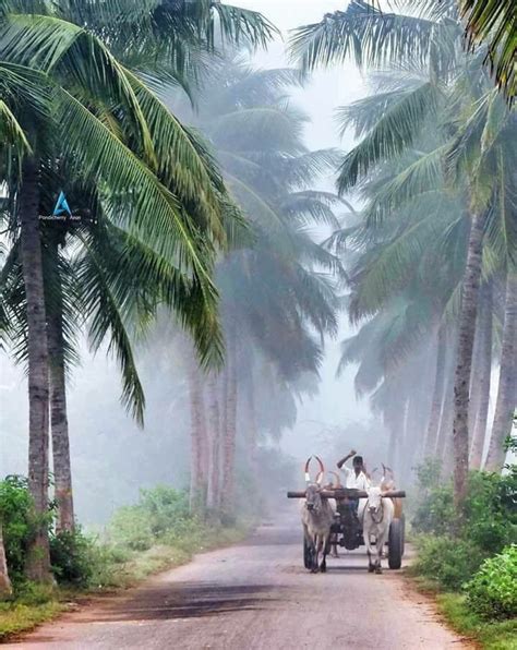 Village Kerala Village Good Morning Images Nature Here Are The Most Beautiful Villages In