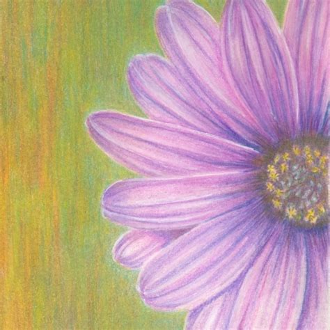 Color Pencil Art Drawings Easy Flower Uketsyseller